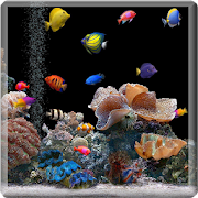 Aquarium Fish Wallpaper  Icon