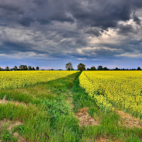 La via della tempesta di albertozafferano.com