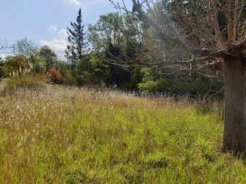 terrain à Montpellier (34)