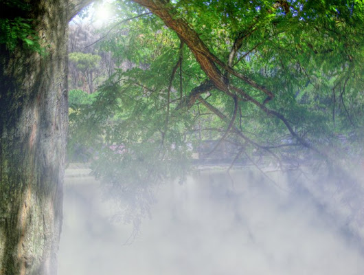 Arriva il sole e la nebbia se ne va.. di nonsolofoto