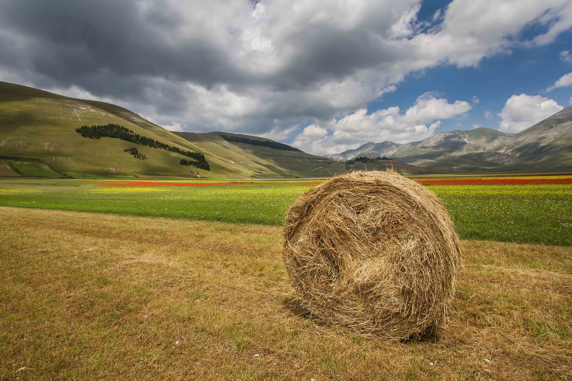 I colori di Castelluccio di Di Capua A