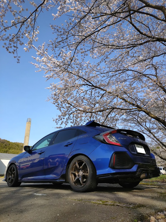 シビック(欧州HB)の桜・桜コラボ・サクラと愛車・シビックと妻と桜・お花見ドライブ🌸に関するカスタム事例の投稿画像1枚目