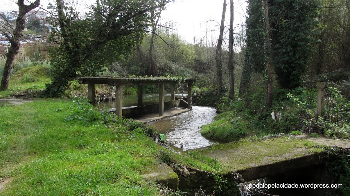 Trilho do Rio Febro - Picture of Trilho do Rio Febros, Avintes