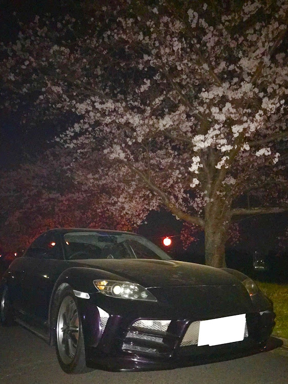 RX-8の夜桜コラボに関するカスタム事例の投稿画像1枚目