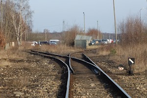Dookoła Gołonoga