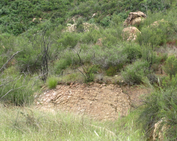 Rock broken in many places in a grid, but still in the ground.