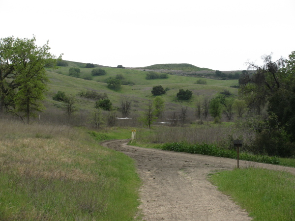 even softer hills and some development of some kind