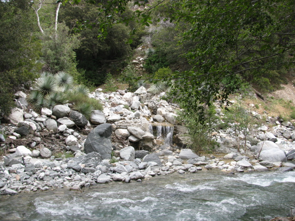 the stream emerging into the West Fork of the San Gabriel River