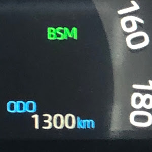 RAV4 MXAA54