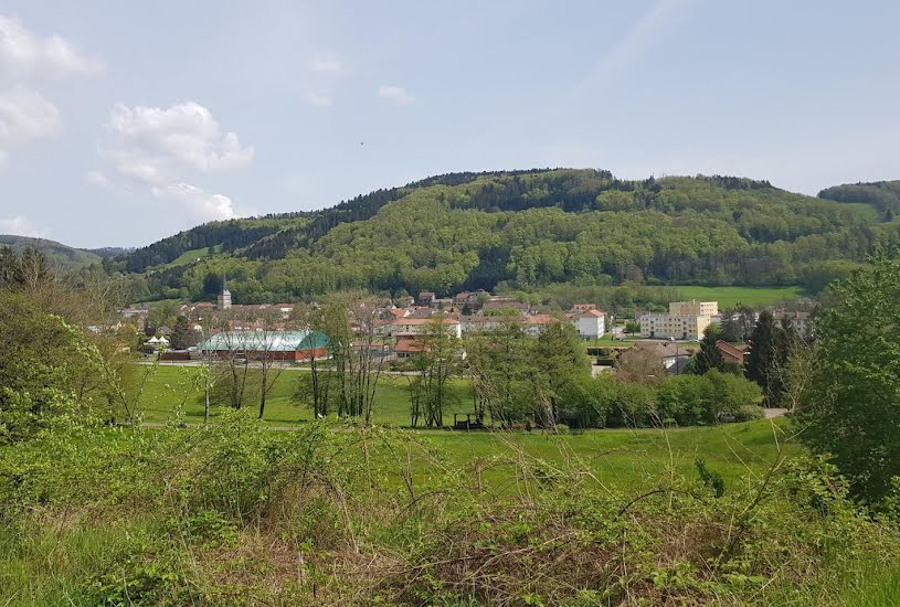  Vente Terrain à bâtir - 4 728m² à Le Val-d'Ajol (88340) 