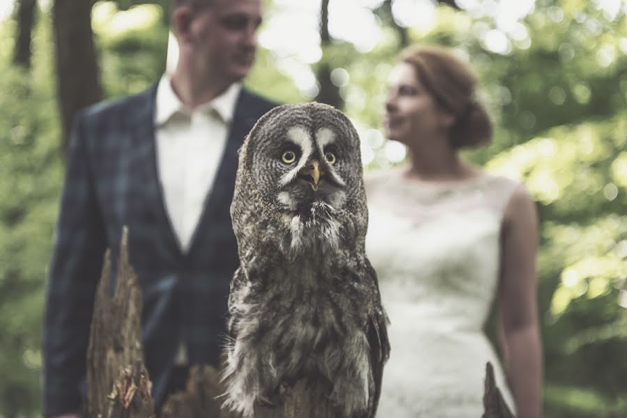 Hochzeitsfotograf Radek Kazmierczak (radekkazmierczak). Foto vom 3. Juni 2016