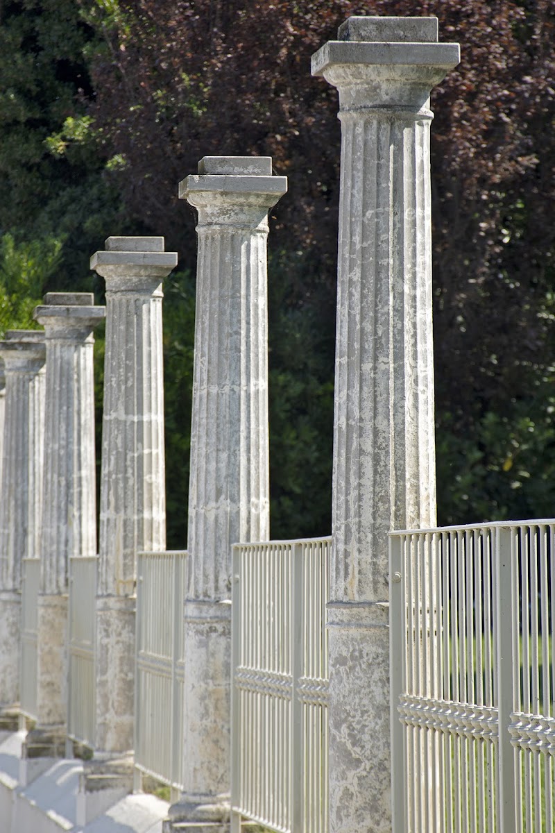 Colonne di RICE