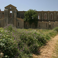 Basilica di San Galgano SI di 