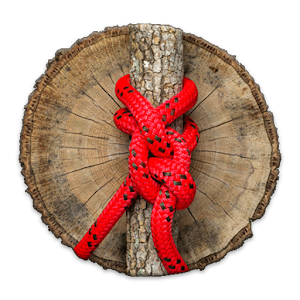 Arborist Knots  Icon