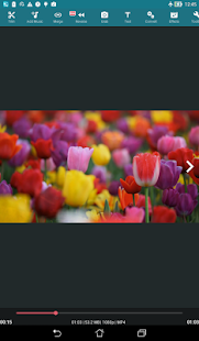  AndroVid Pro Video Editor- screenshot thumbnail   