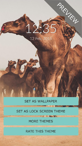 免費下載個人化APP|Pushkar Camel Wall & Lock app開箱文|APP開箱王
