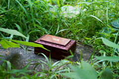 Wooden  box in the forest Stock Photos