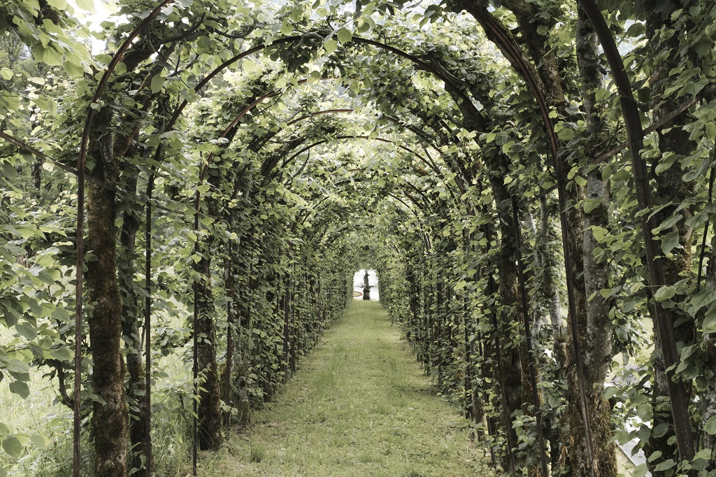 La verde strada di marco_malagoli