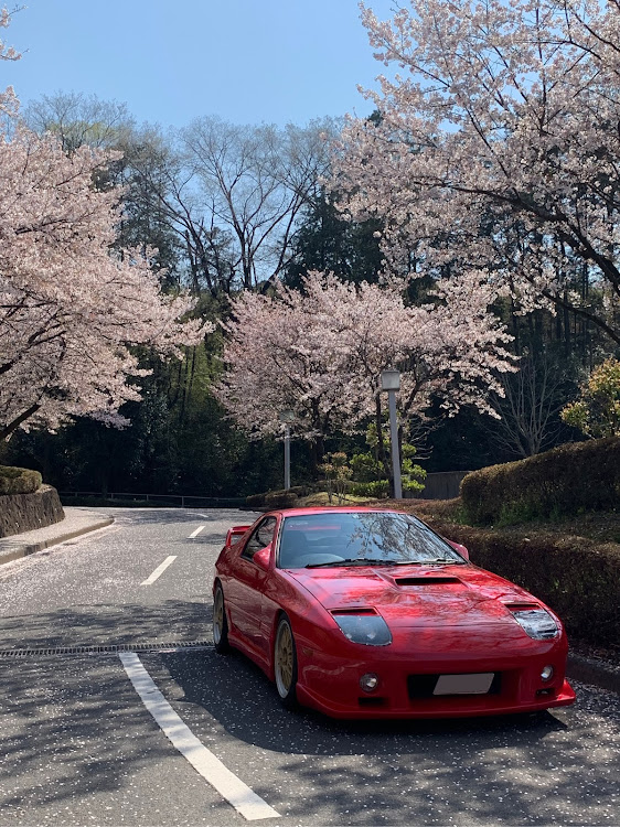 RX-7の桜と愛車・中粕尾・ドライブに関するカスタム事例の投稿画像1枚目
