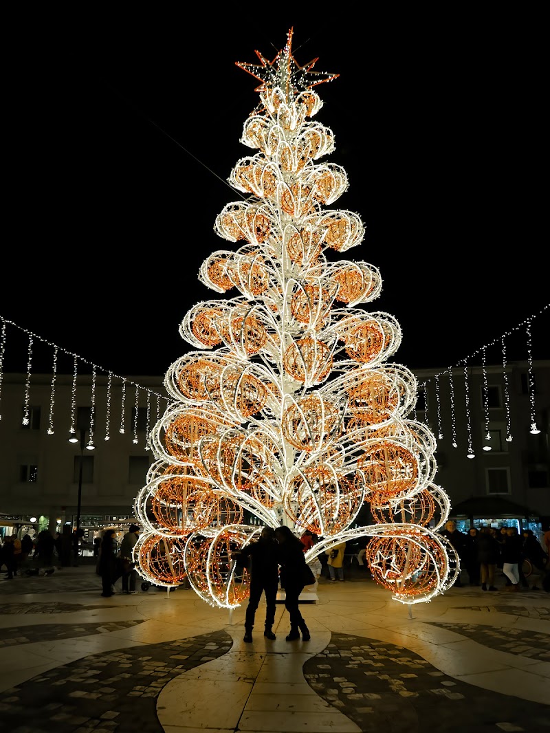 Incontri sotto l'albero di felixpedro