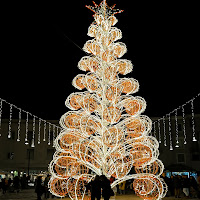 Incontri sotto l'albero di 