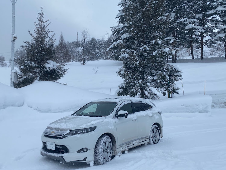ハリアーのシンプルイズベスト・浅虫温泉♨️・雪不足⛄😫・ハリアー乗りは良い人ばかり・2月もよろしくお願いしますに関するカスタム事例の投稿画像3枚目