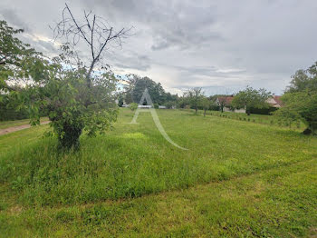 terrain à Le Controis-en-Sologne (41)