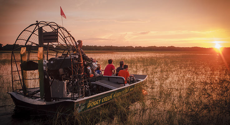 Hidden Gems in Kissimmee Boggy Creek airboat