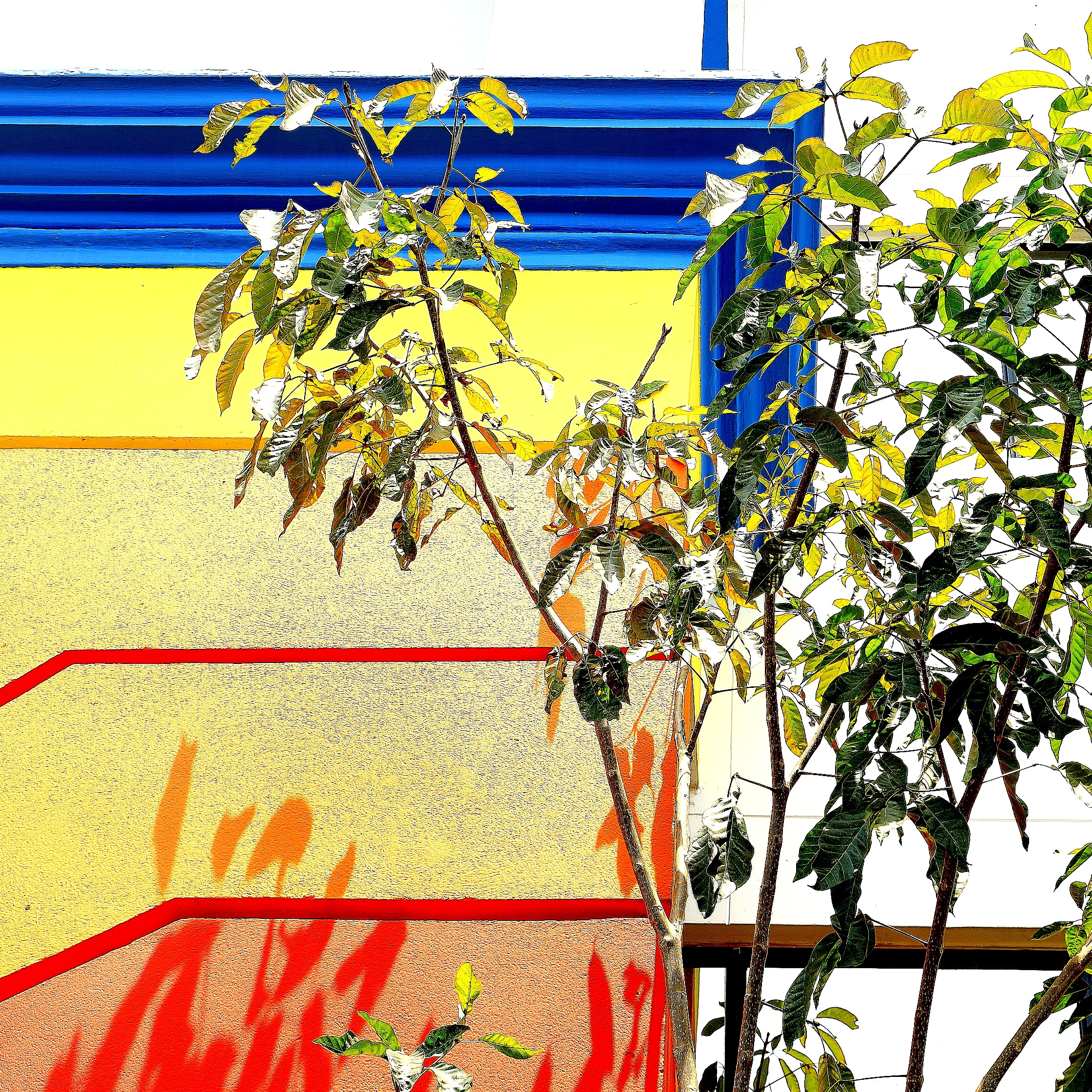 Yellows lines and architecture  di boletusedulis