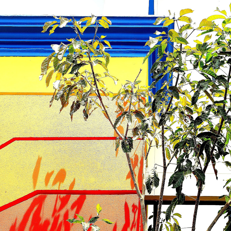 Yellows lines and architecture  di boletusedulis