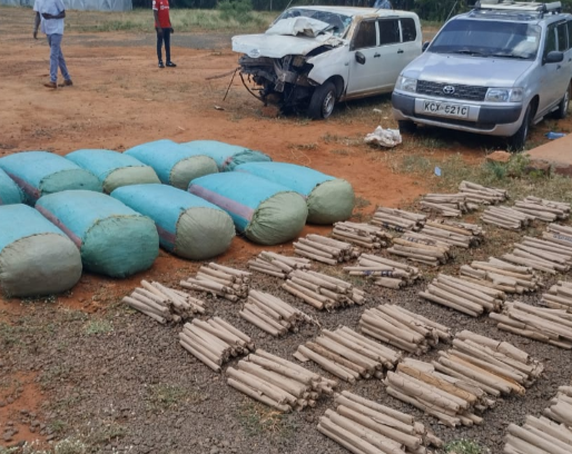 Impounded motor - vehicles alongside seized bhang at Mtito Andei police station in Makueni County on Saturday, April 16, 2022.