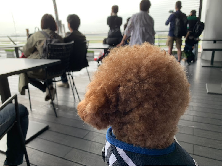 Yoshiさんが投稿したカスタム事例の投稿画像2枚目