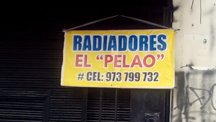 RADIADORES EL 'PELAO'