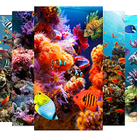 Aquarium Screensaver
