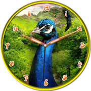 Peacock Clock  Icon