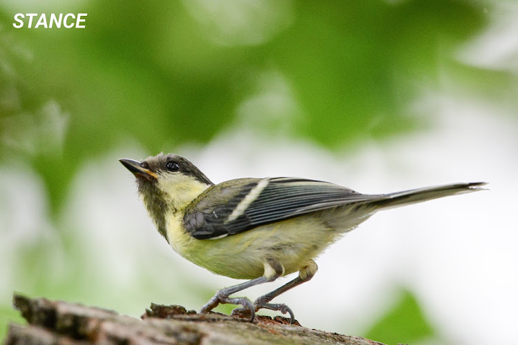エブリイバンのちょい上げエブリイ・シティオフローダー・車中泊仕様・車中飯・ホットサンドグリルに関するカスタム事例の投稿画像12枚目