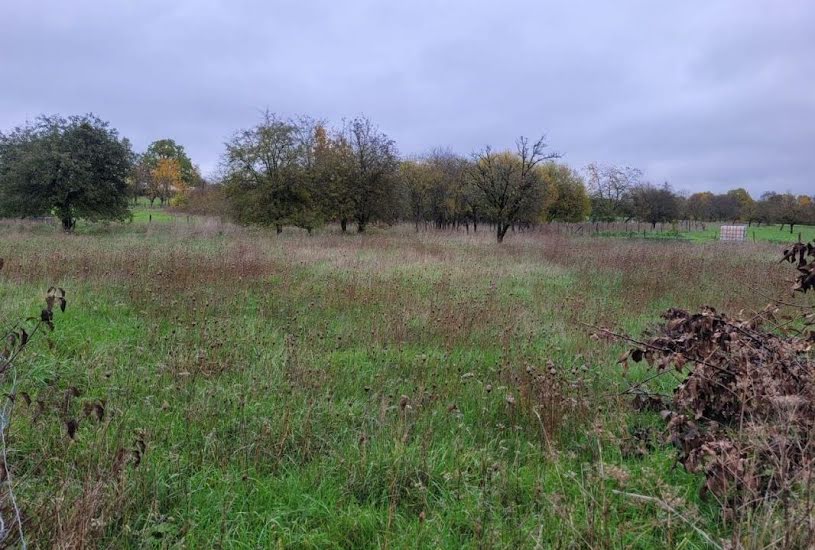  Vente Terrain à bâtir - à Rupt-aux-Nonains (55170) 