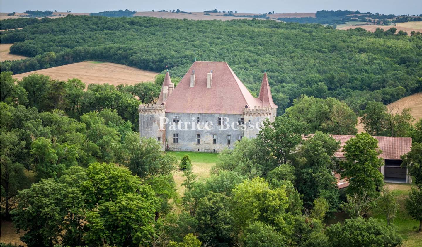 Castle Toulouse