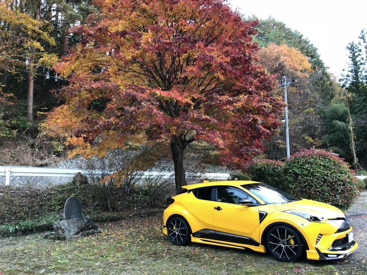 C-HRの紅葉と愛車・地元・パシャリ・お尻に関するカスタム事例の投稿画像2枚目
