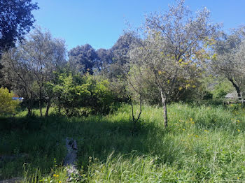 maison neuve à Camps-la-Source (83)