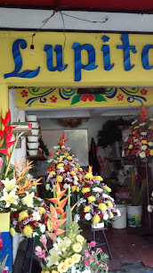 Florería Lupita