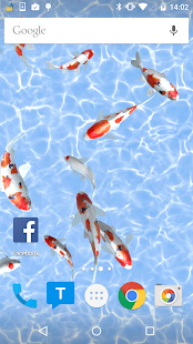 Koi Fish Live Wallpaper(圖1)-速報App