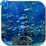 Cover Image of Download Aquarium 4K Video Wallpaper 1.0 APK