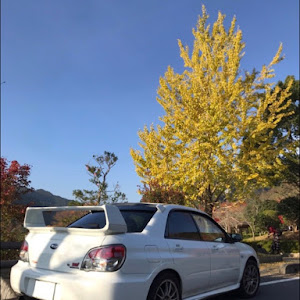 インプレッサ WRX STI GDB