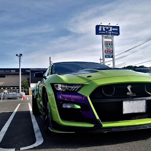 シェルビー GT500