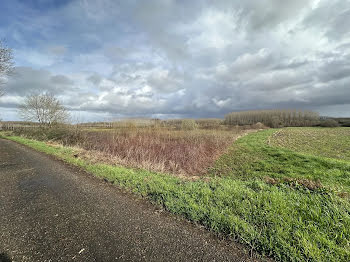 terrain à Pontonx-sur-l'Adour (40)