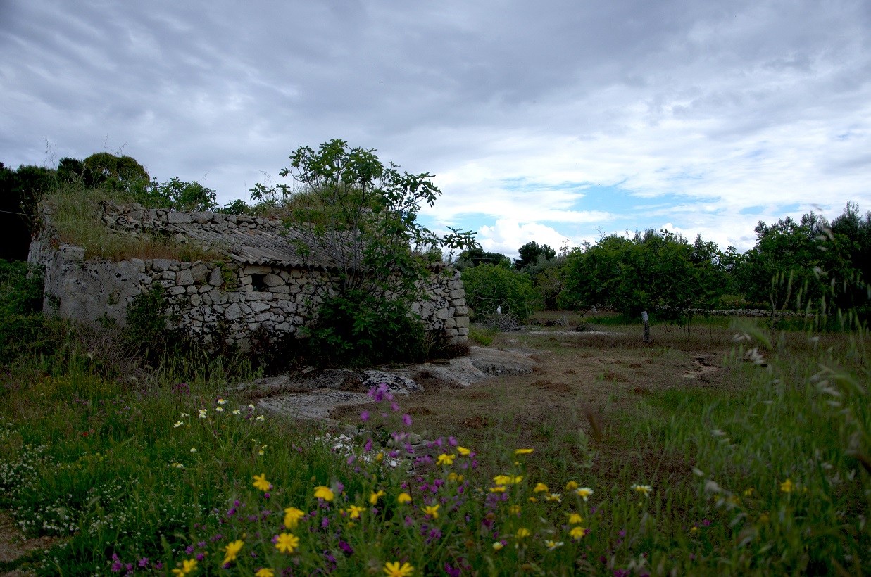 La capanna dello zio Tom di Primula Vico