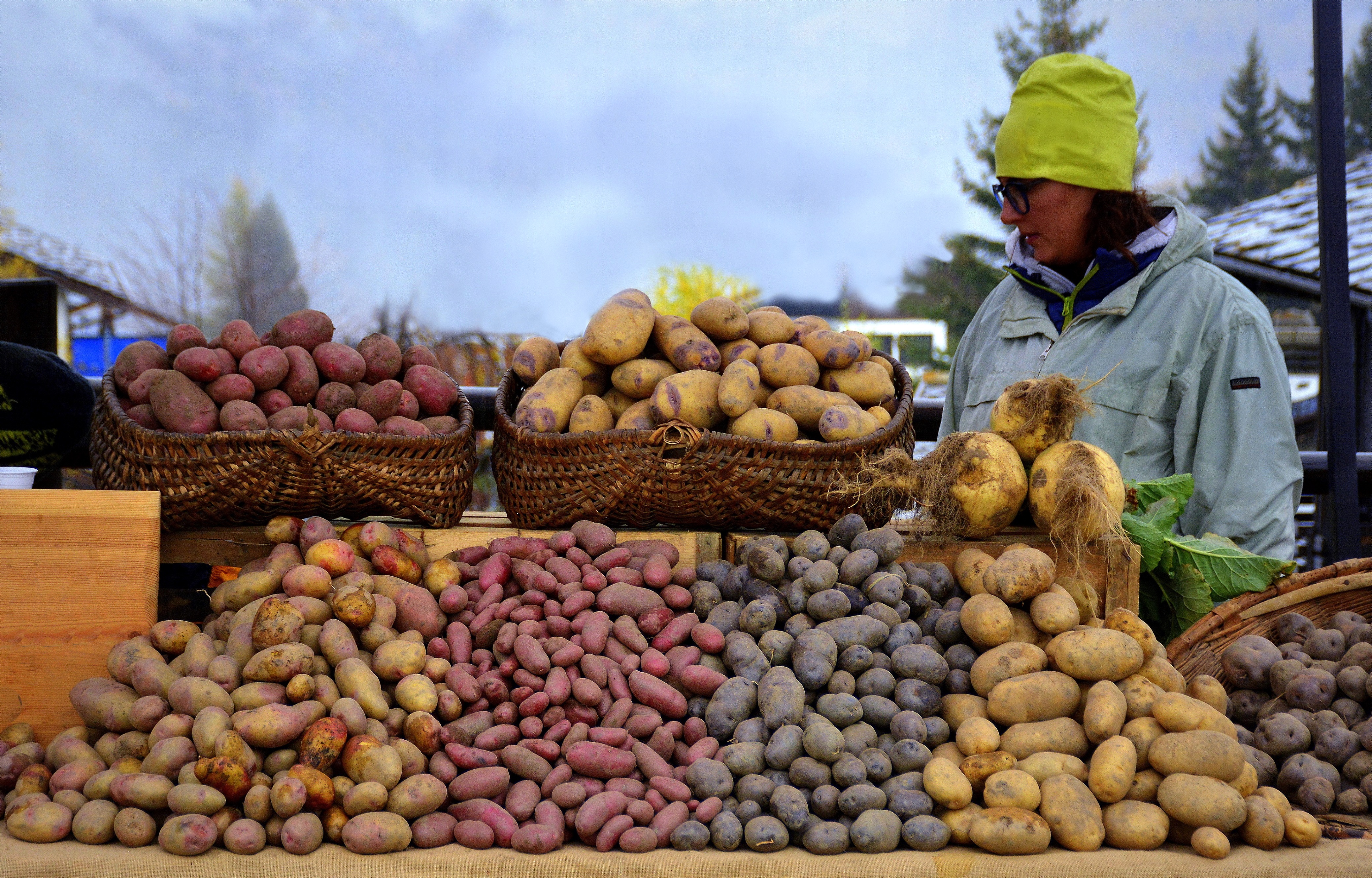 Frutti di terra di gigidueelle