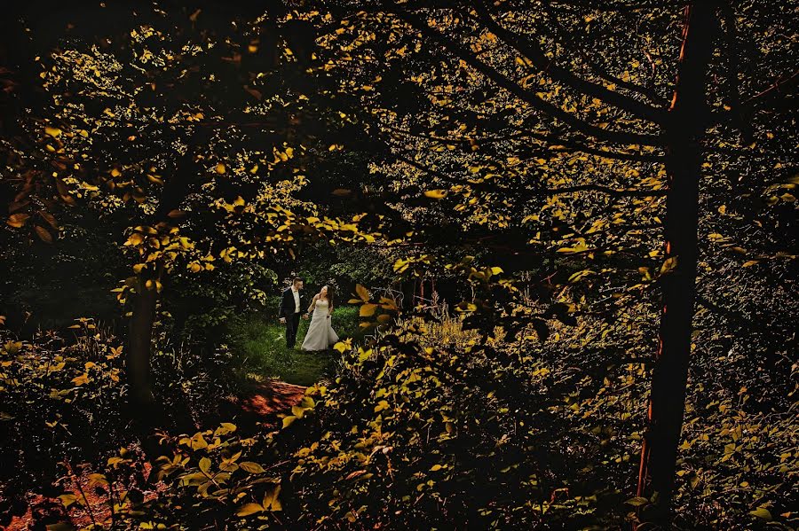 Fotógrafo de casamento Maciek Januszewski (maciekjanuszews). Foto de 5 de julho 2016