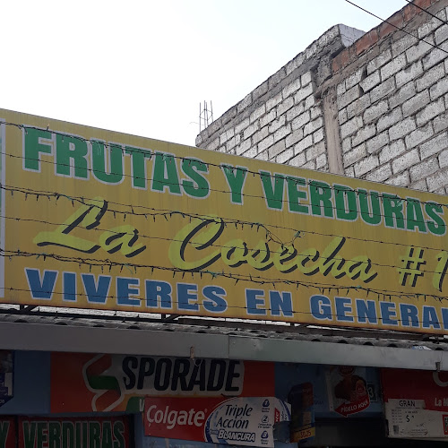 Frutas Y Verduras La Cosecha